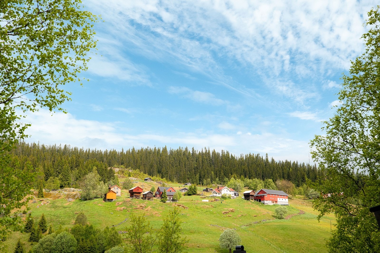 Området rundt hytta byr på fantastisk naturlandskap og flotte turopplevelser i både fjell og skog. Man kan ta flere flotte turer i nærområdet med hytta som utgangspunkt. Galleribilde