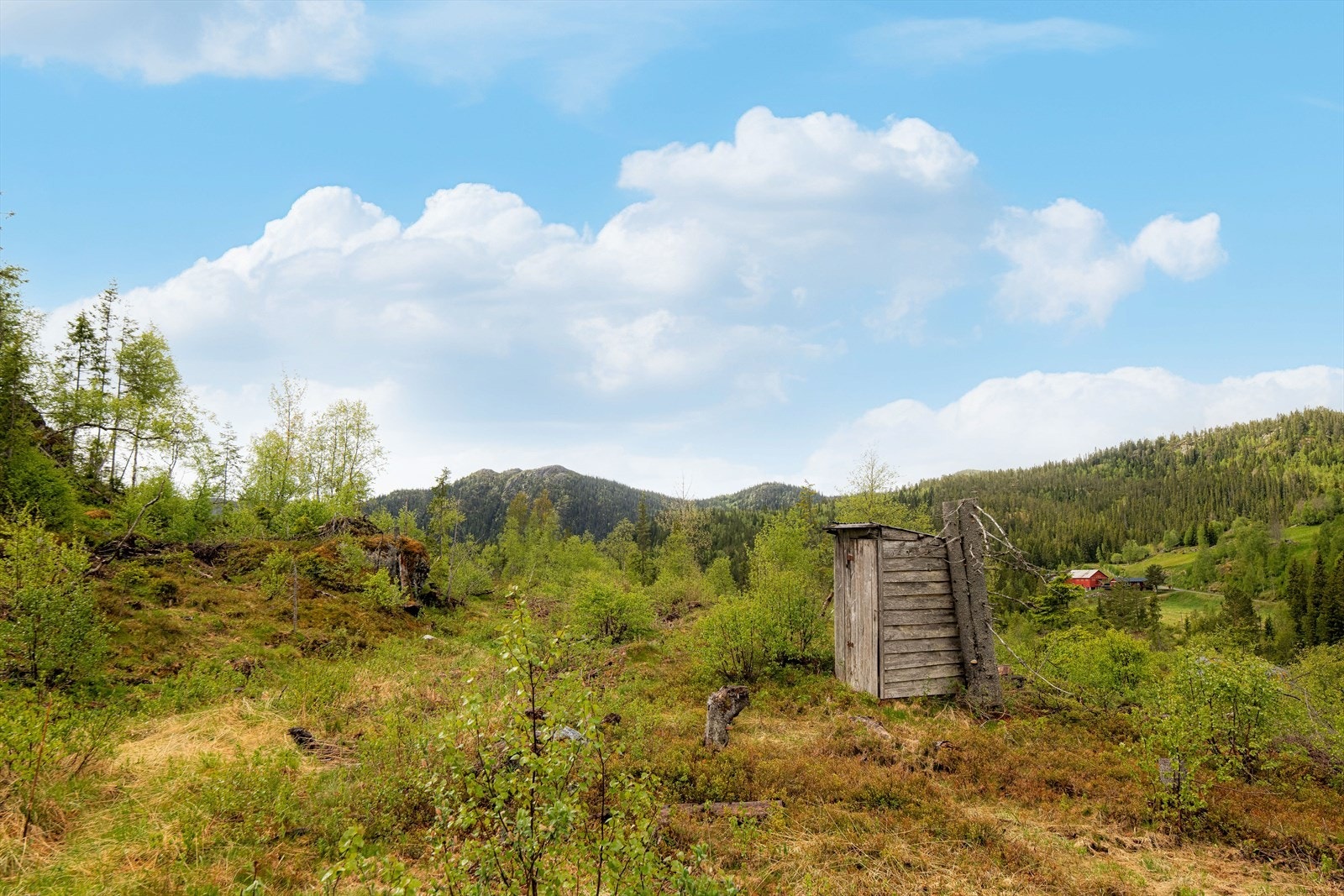 Her bor du usjenert og idyllisk, med flotte turområder rett utenfor døren og spennende lekearealer for barna! Galleribilde