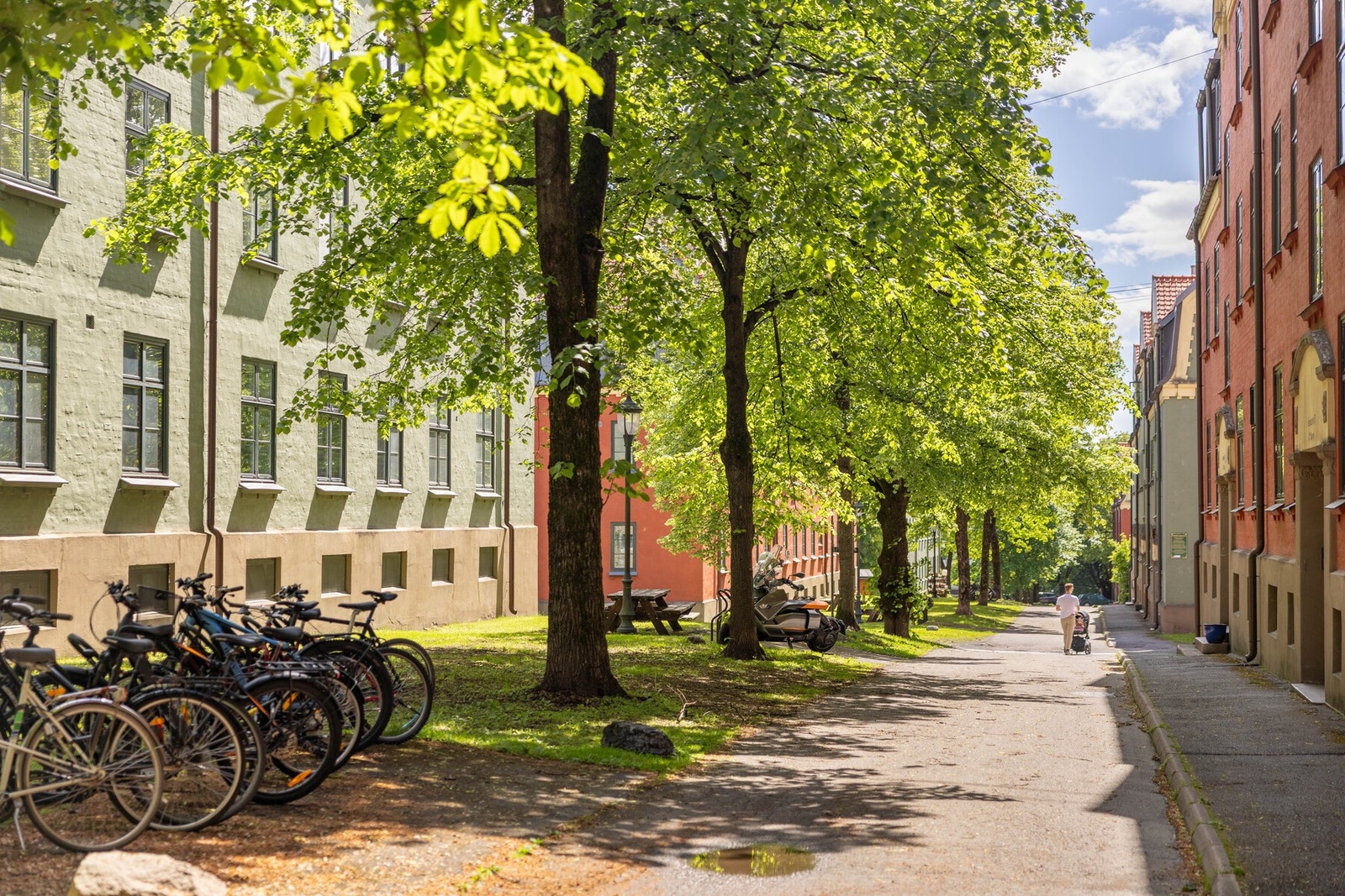 Området preges av klassiske bygårder og grønne parker. Galleribilde