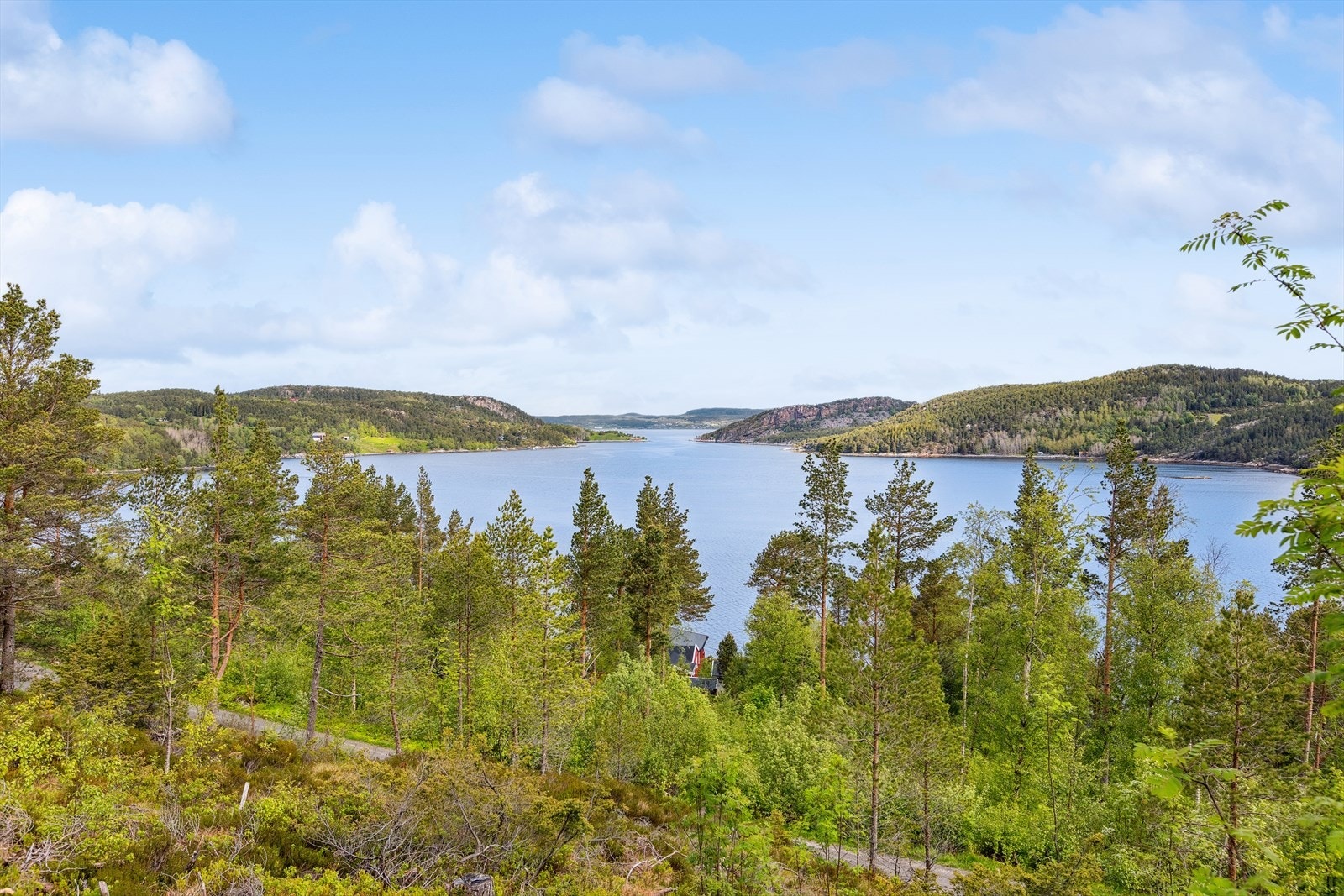 Det er tillatt å bygge inntil 100m² BYA på tomta. Galleribilde
