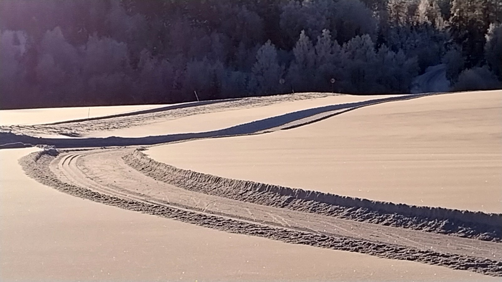 Nærområdet på vinteren Galleribilde