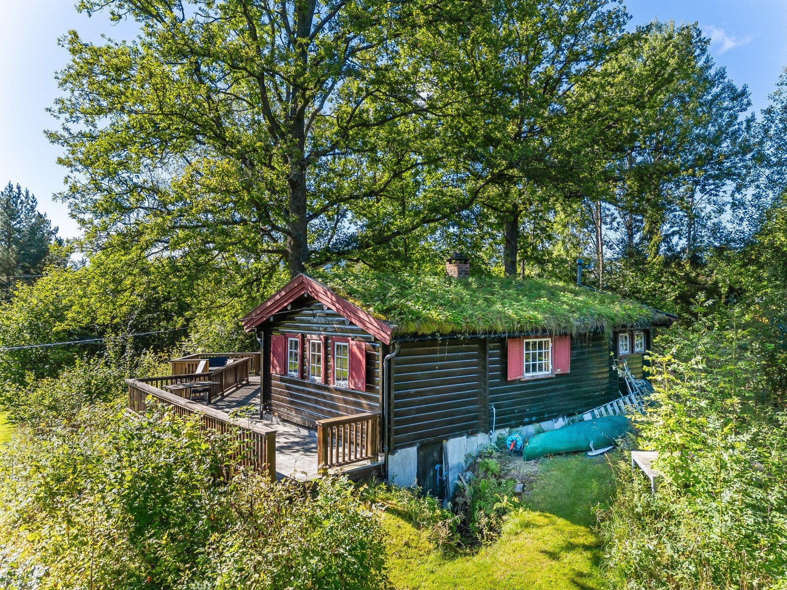Mye plass å boltre seg på Galleribilde