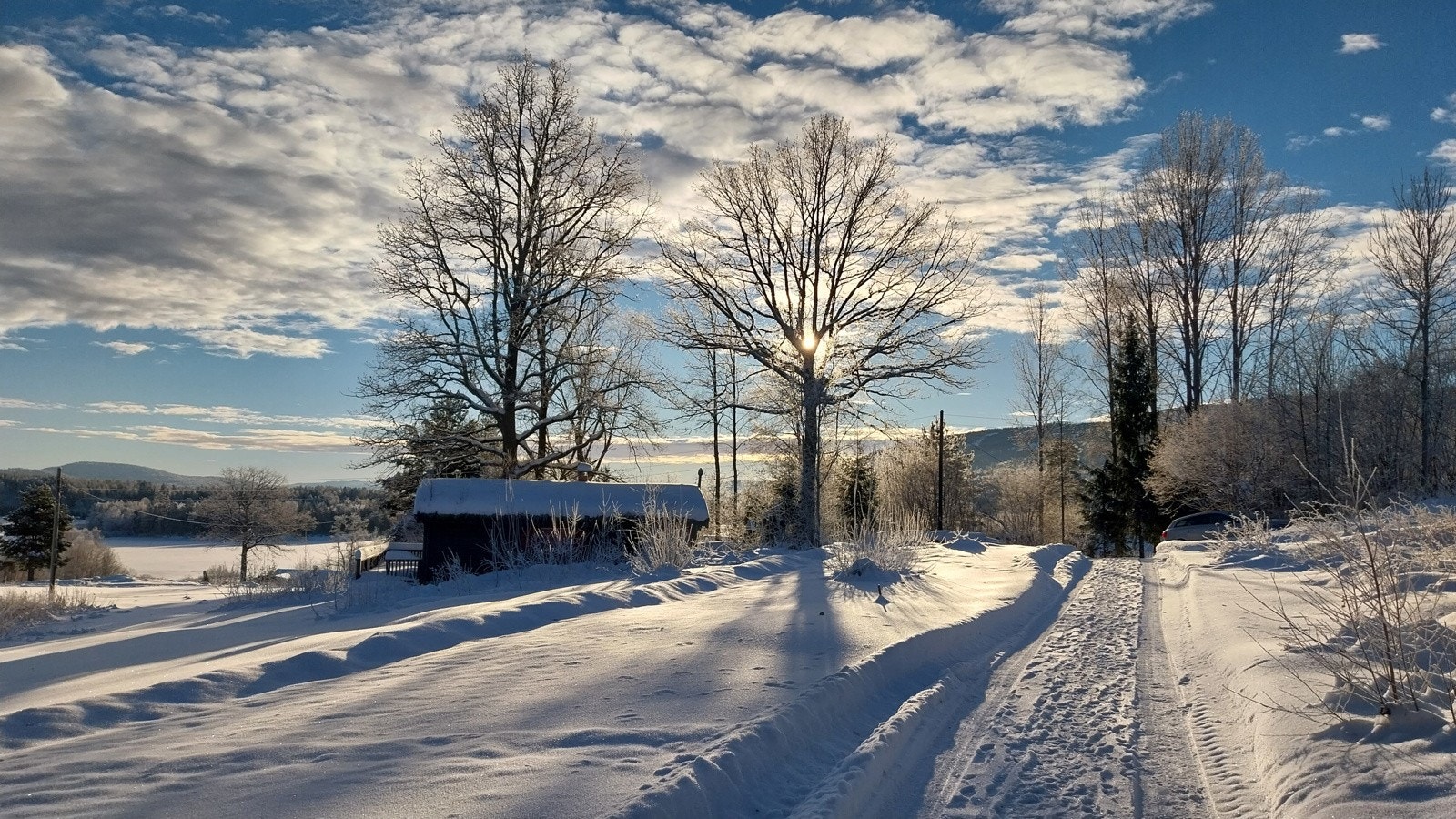 Nærområdet på vinteren Galleribilde