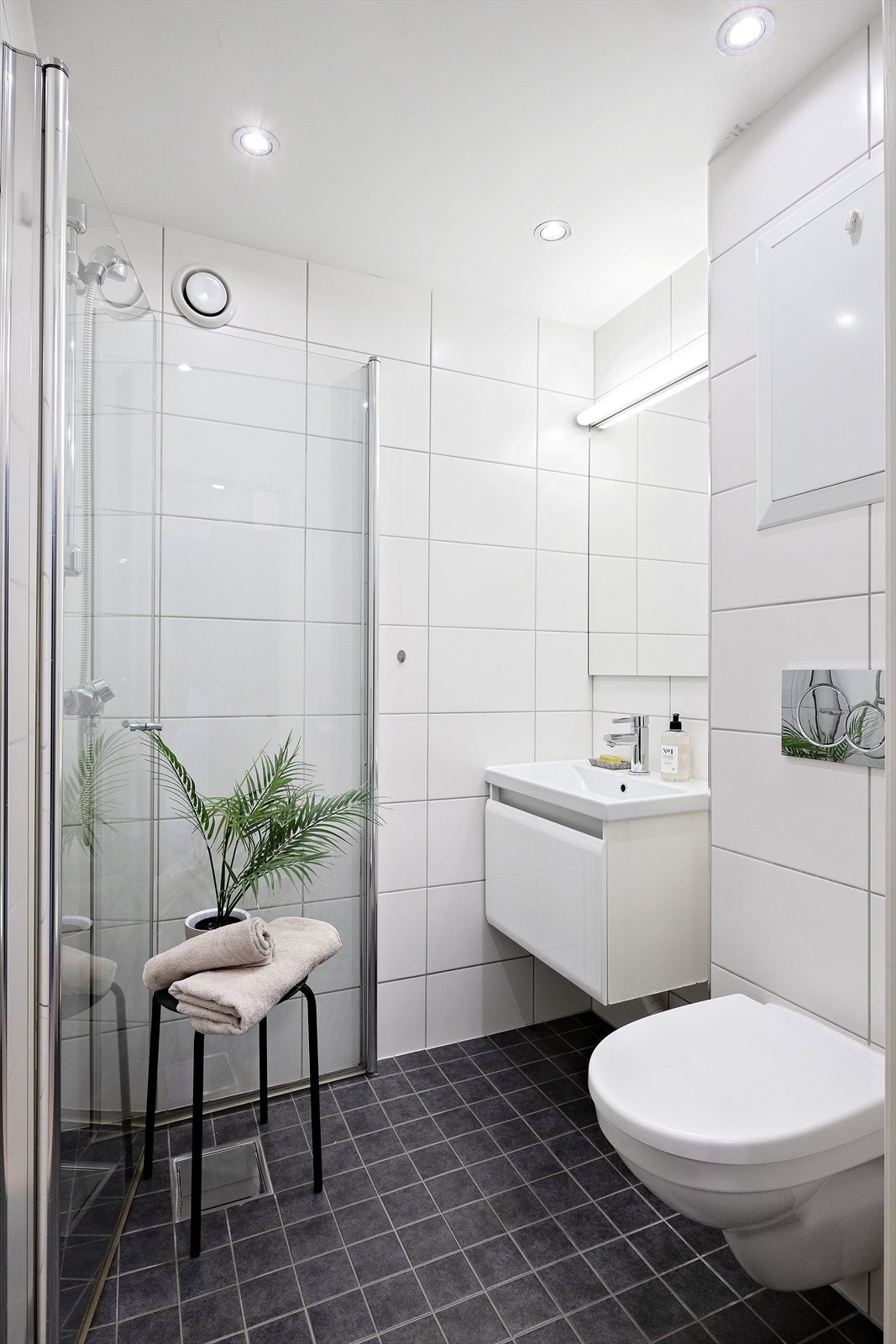 Bad med dusj og toalett, - perfekt plassert ved siden av soverommet Galleribilde