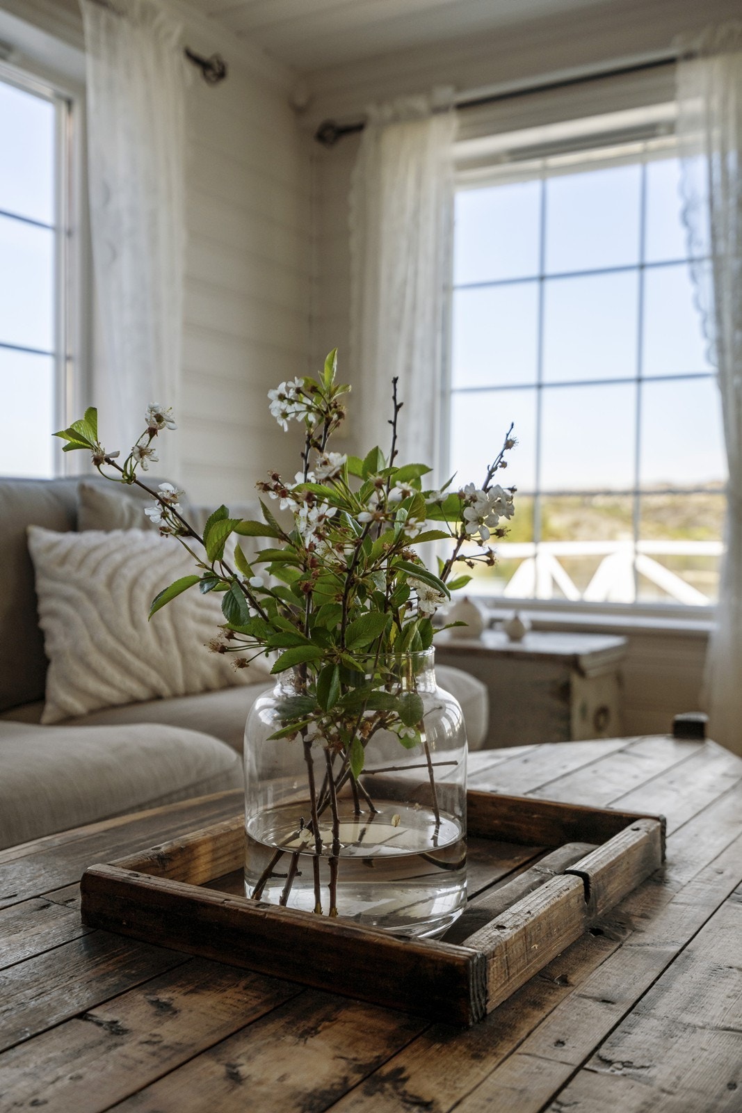 TIM07114 Galleribilde