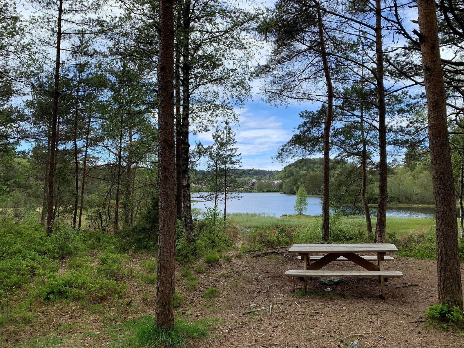 Kort gangavstand til flott turområde rundt Skranevatnet. Galleribilde