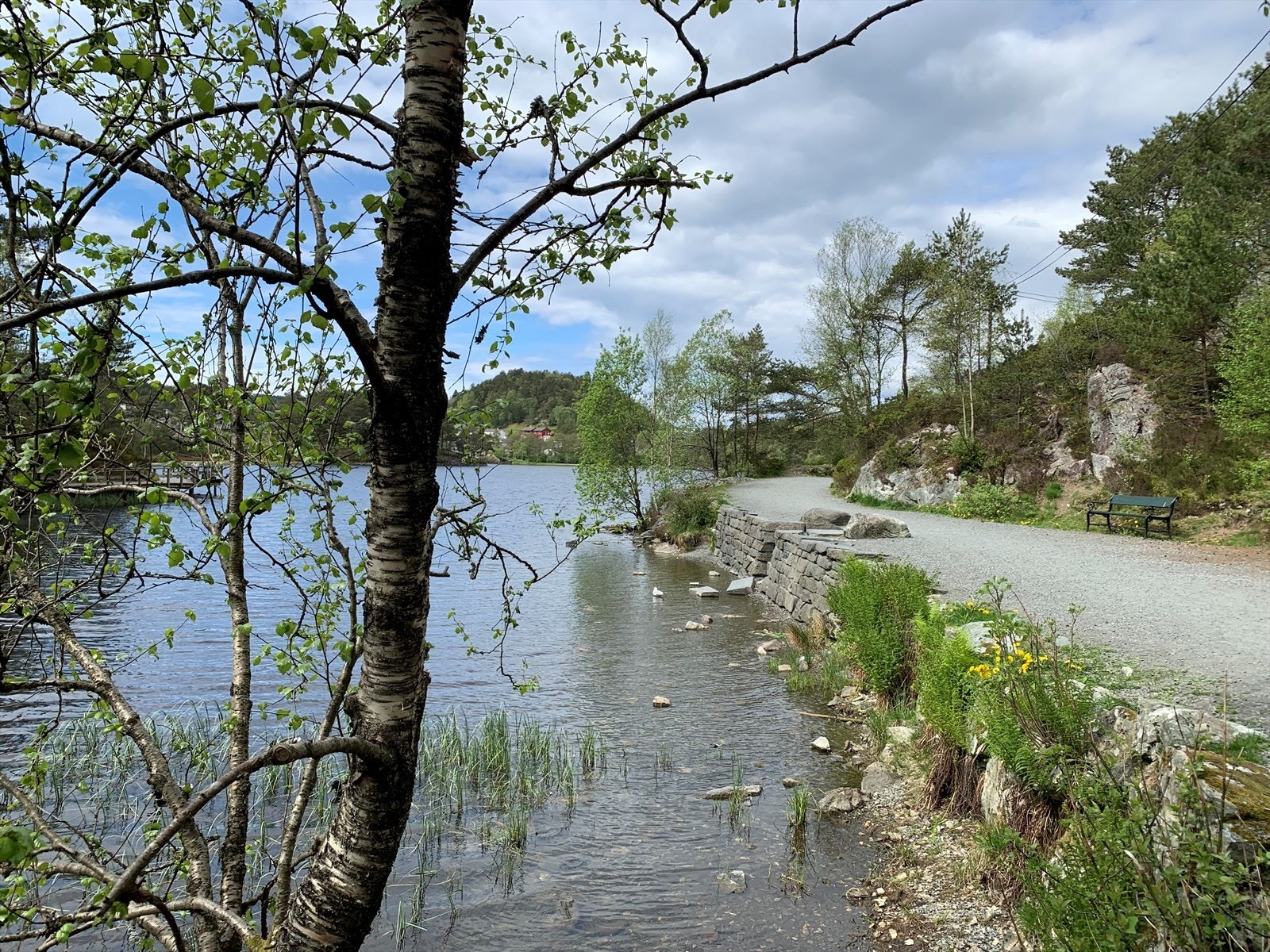Skranevatnet. Galleribilde