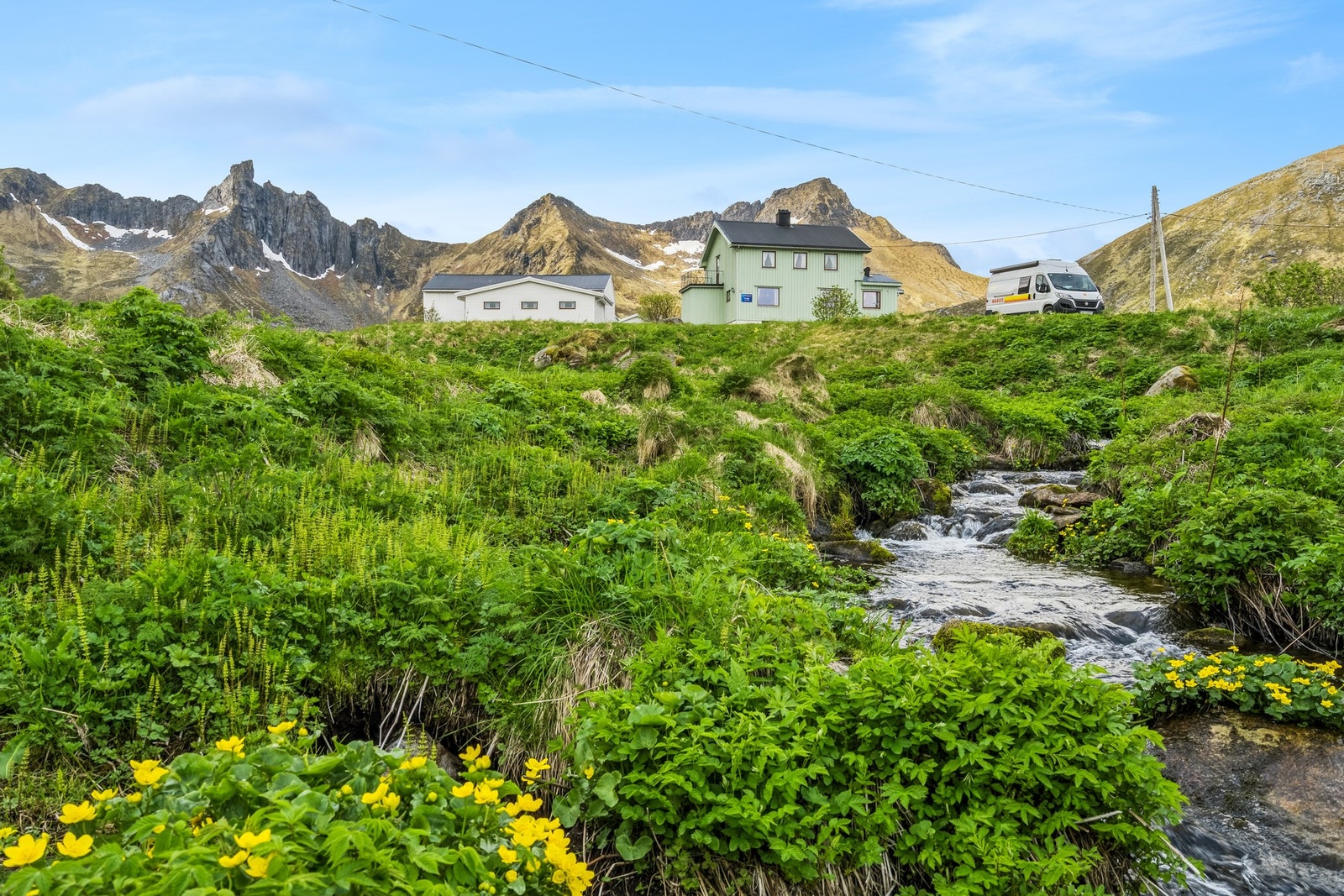 Myrland byr på et rikt dyre-, fugle- og planteliv. Galleribilde