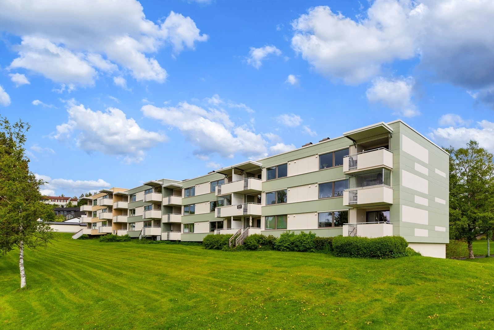 Velkommen til visning! Galleribilde