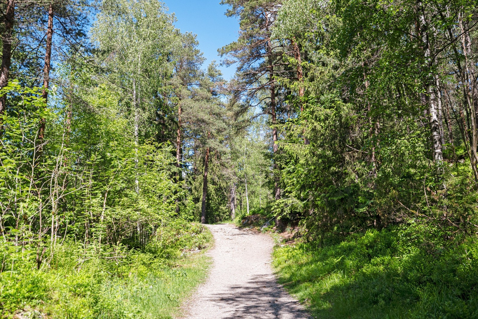 Området byr på mange fine turstier Galleribilde