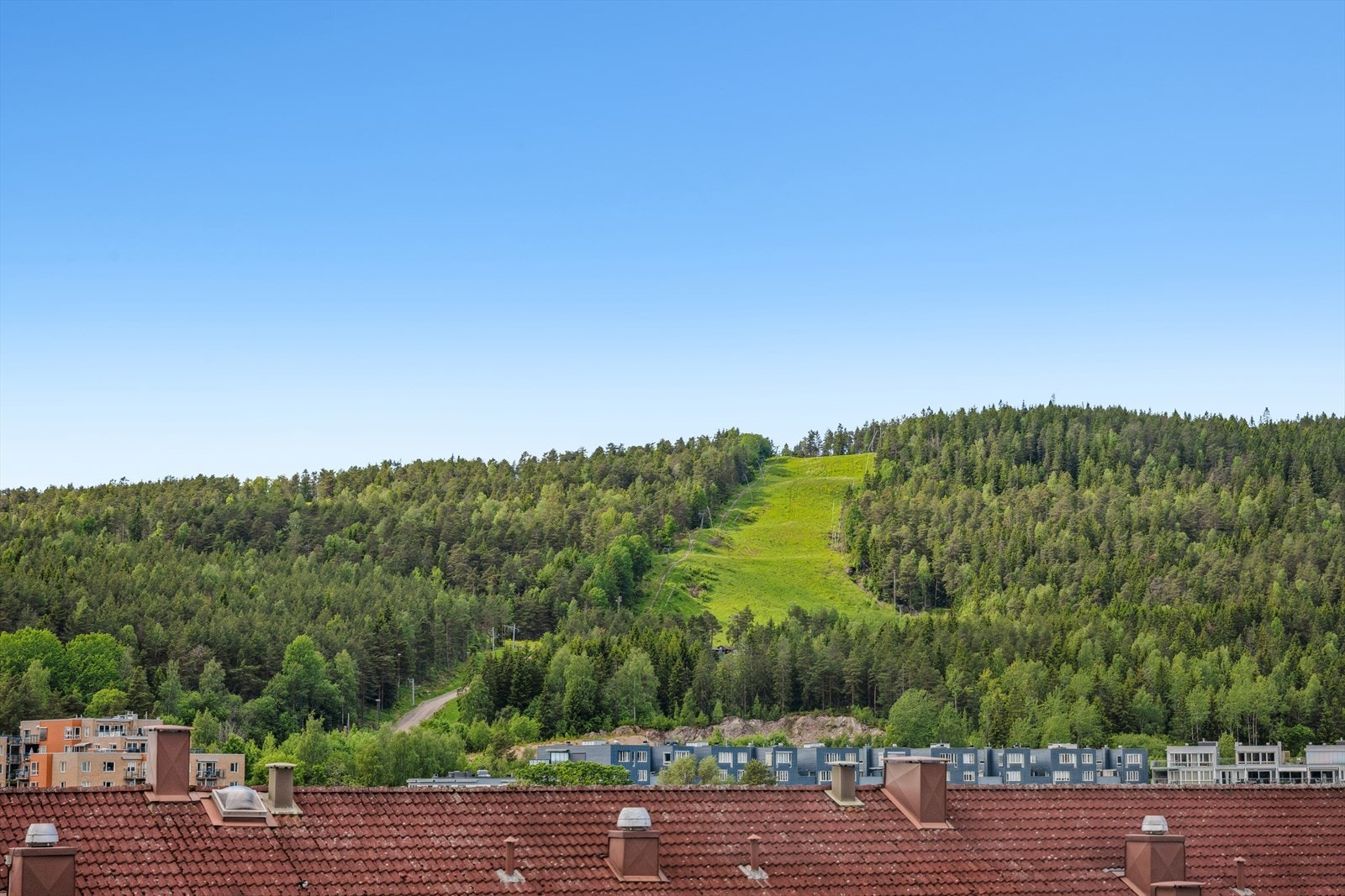 Sommerbilde av slalåmbakken. Galleribilde