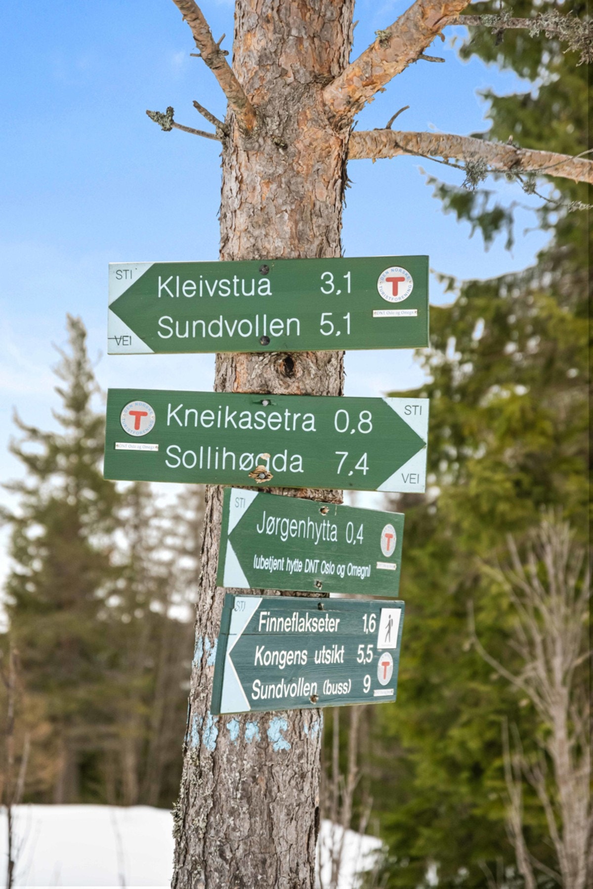 Fantastiske eventyr venter både sommer og vinter - dette er et området hvor stor og små trives! Galleribilde