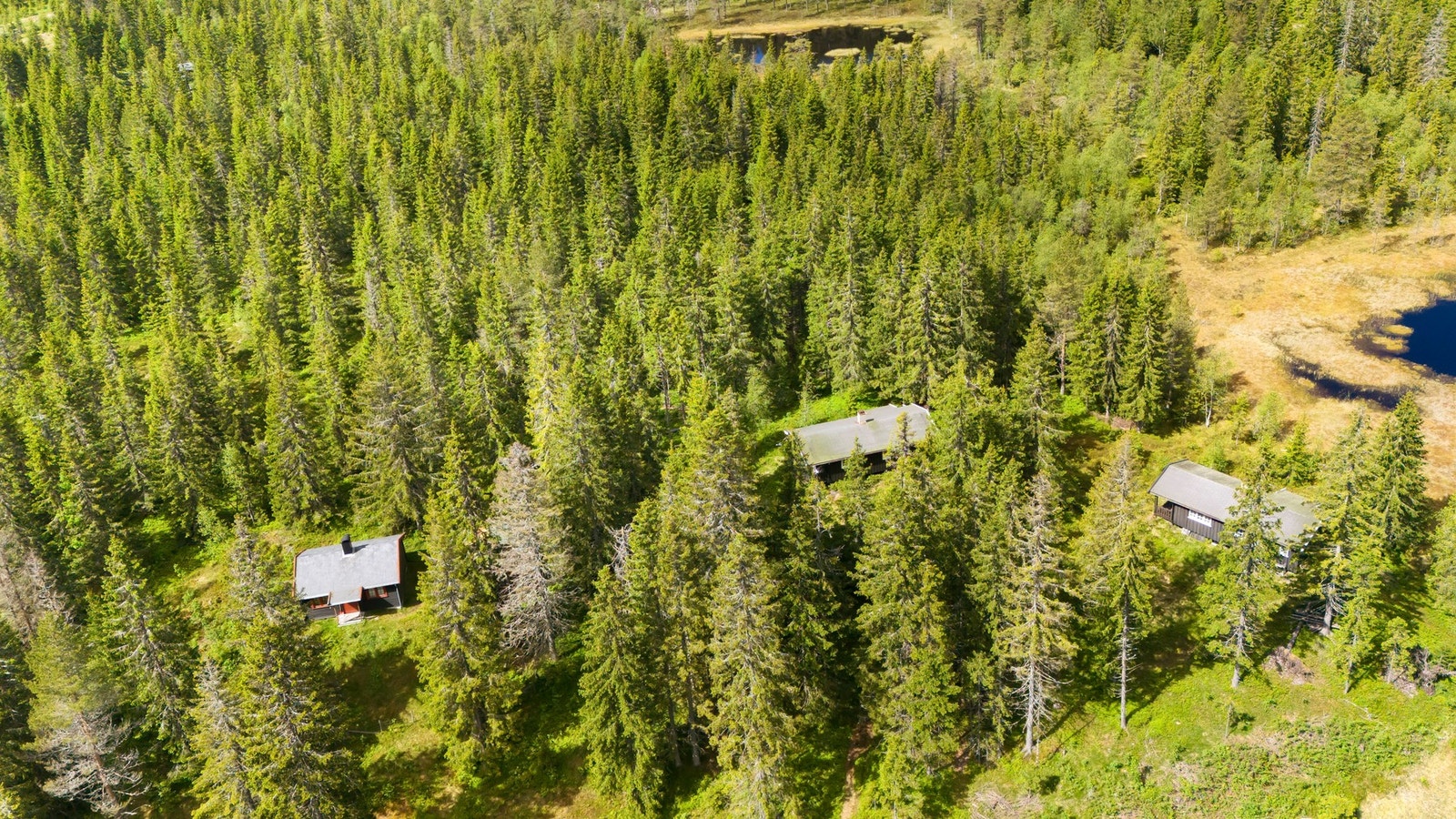 Dette er en herlig og sjarmerende hytte beliggende i naturskjønne omgivelser. Hytta ligger ved populære Sørsetra på Krokskogen/Nordmarka og har en usjenert beliggenhet. Galleribilde