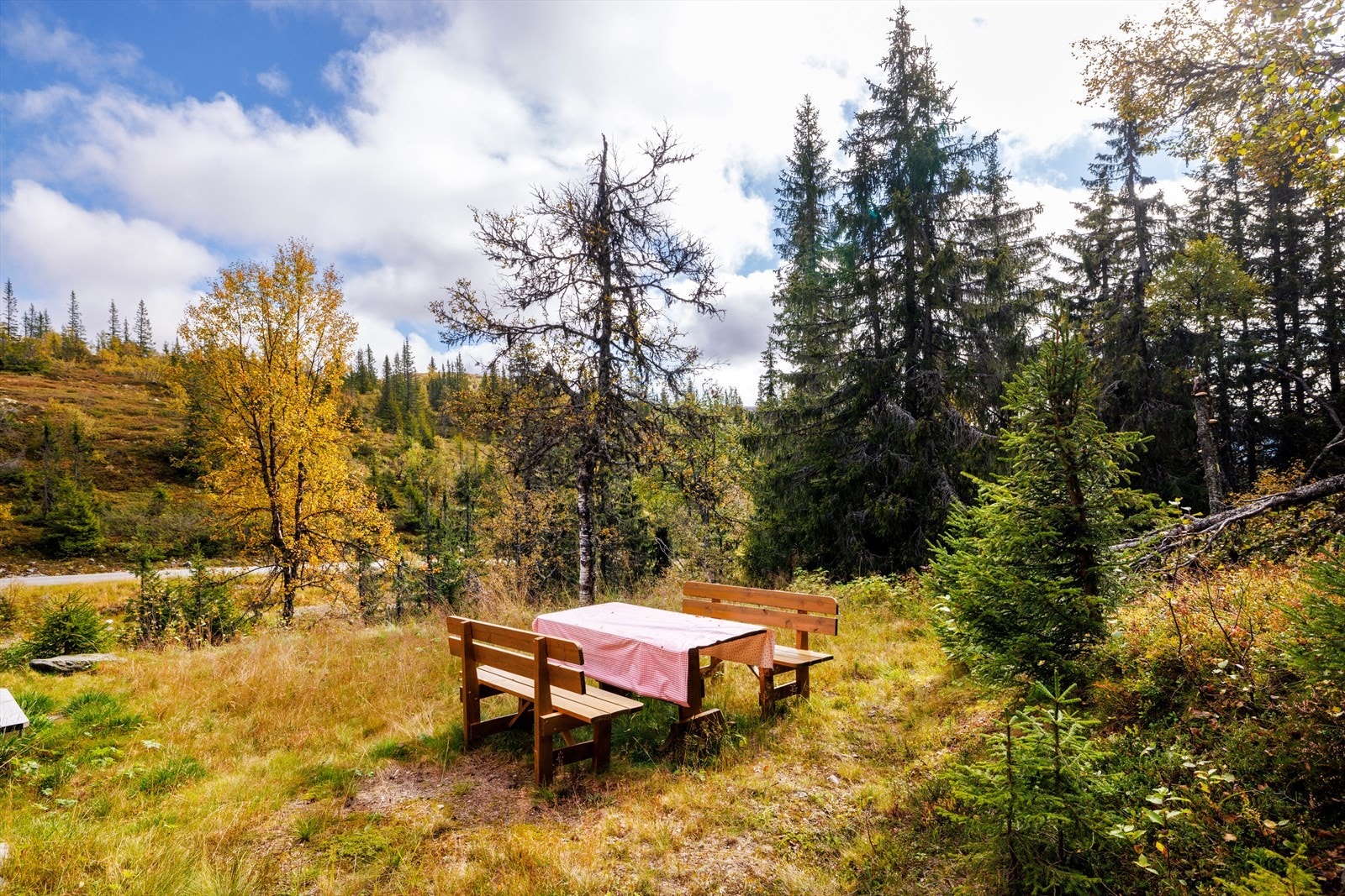 Nyt forholdene mens måltidet inntas ved utebordet. Galleribilde