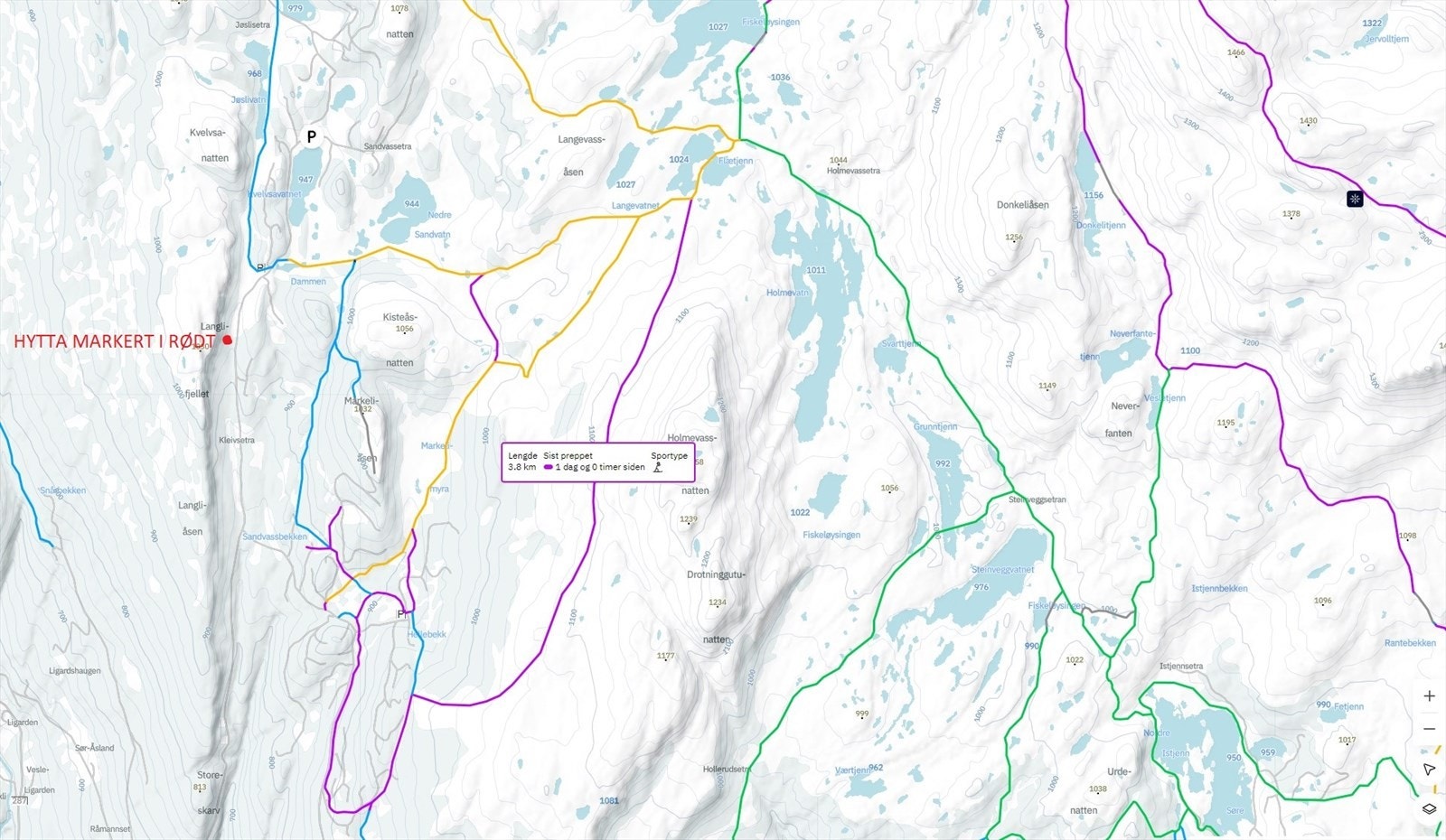 Beskrivelse av skispor. Galleribilde
