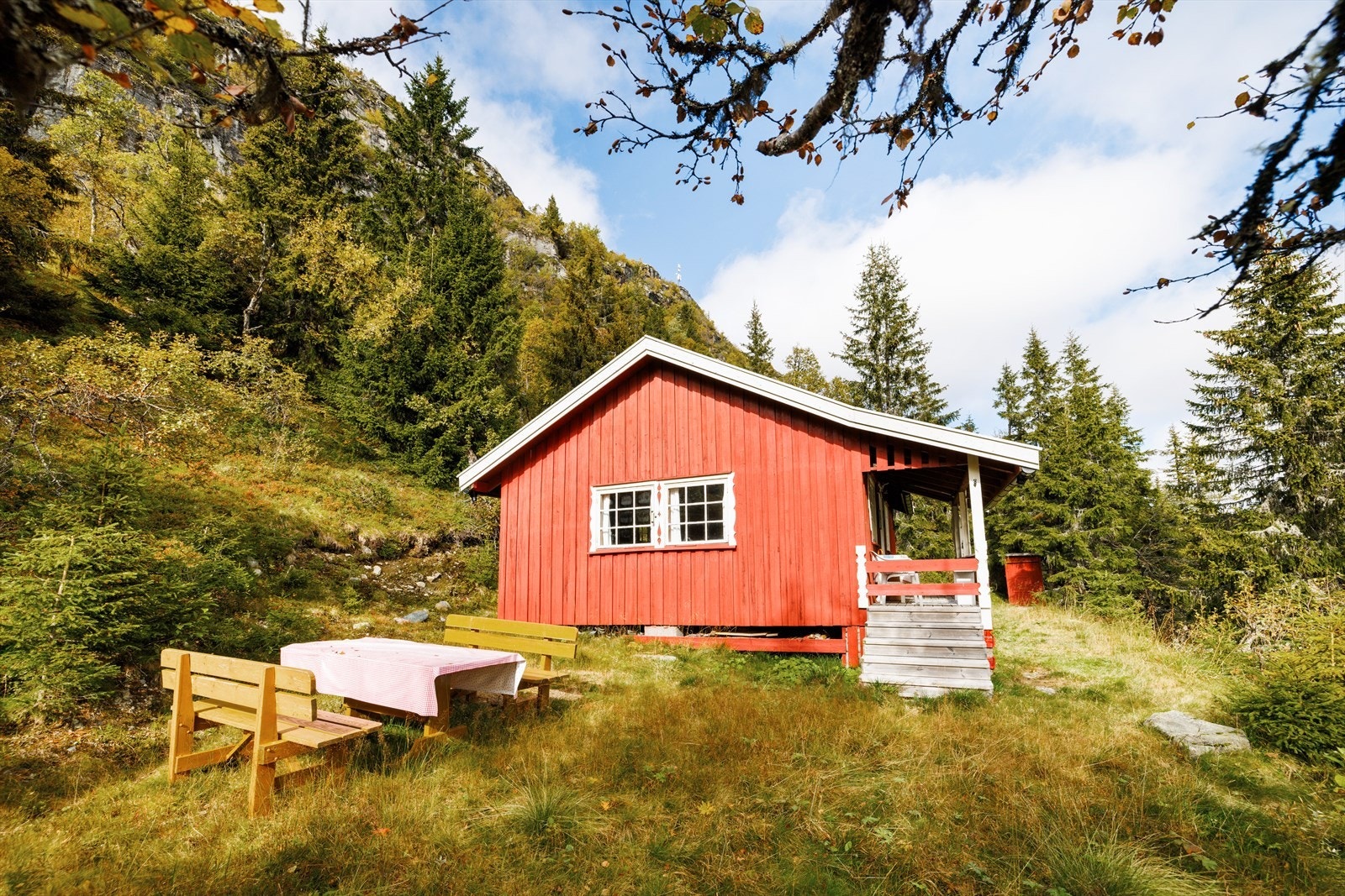 Naturlig opparbeidet uteområde med gressbakke omkring hytta, forøvrig naturtomt. Galleribilde