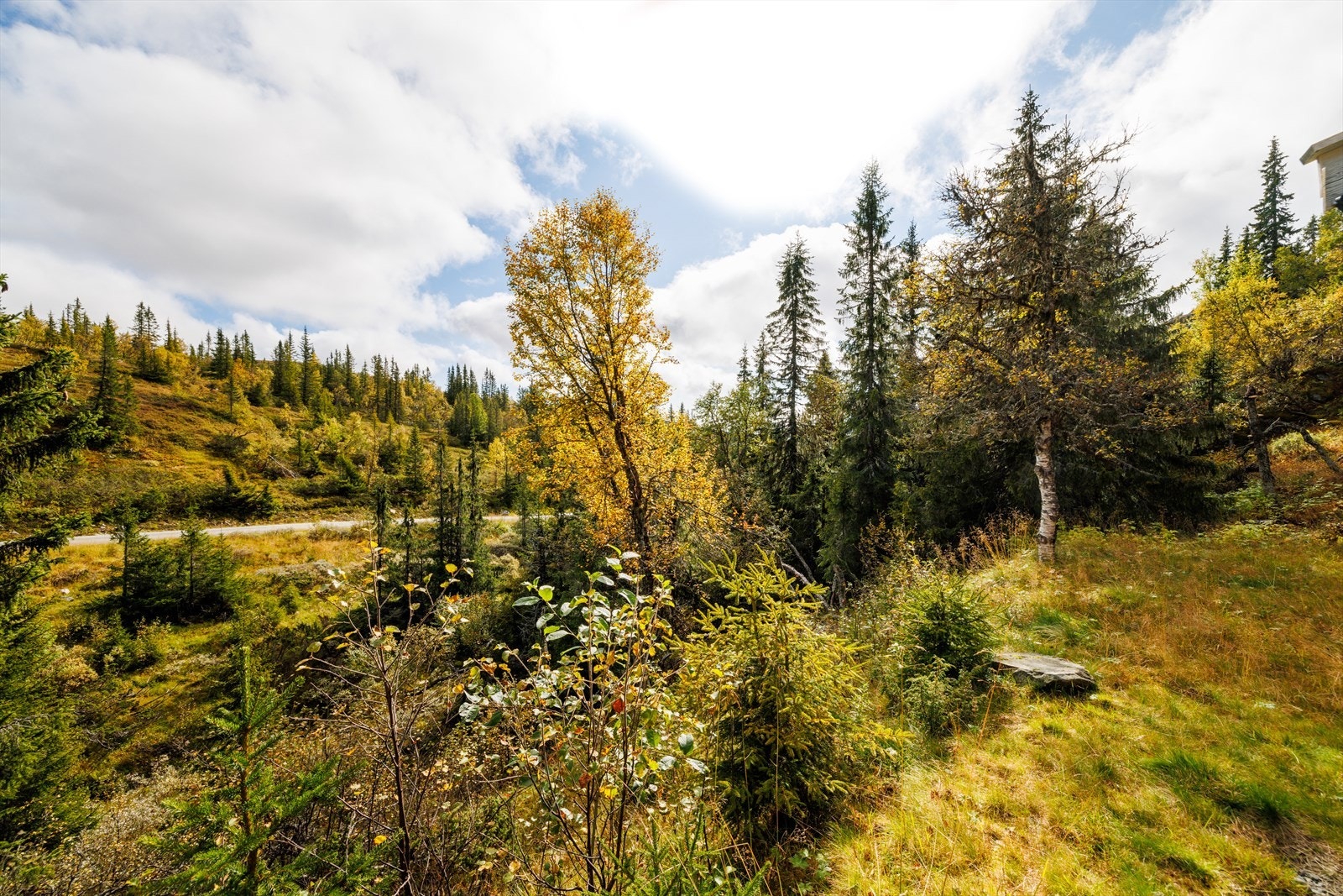 Fin utsikt utover fra hytta. Galleribilde