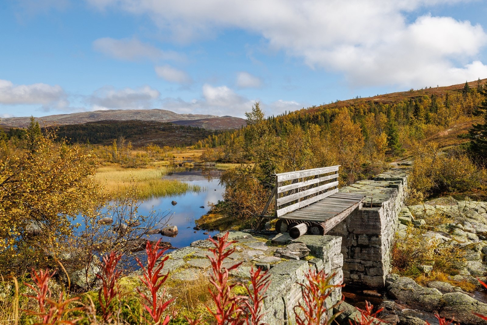 Er man glad i jakt- og fiske er dette området ett eldorado. Det er flere gode fiskevann i området. Galleribilde