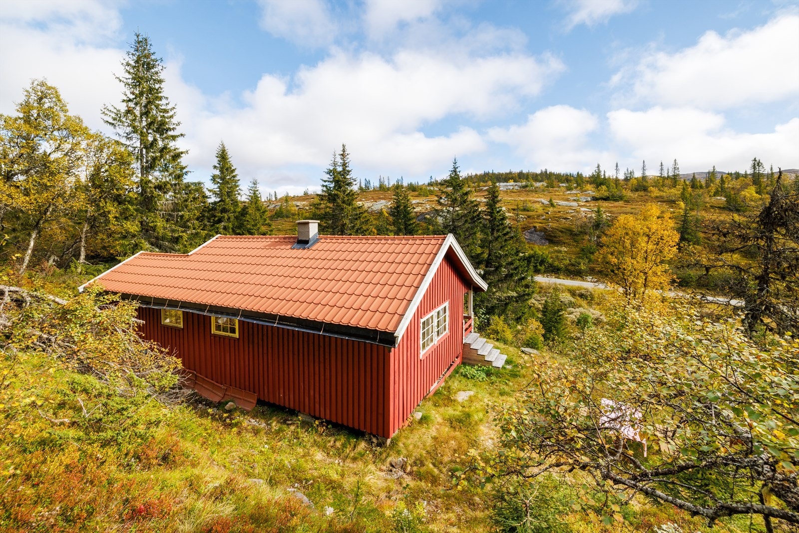 Nærhet til unike turmuligheter i den vakre fjellheimen! Galleribilde