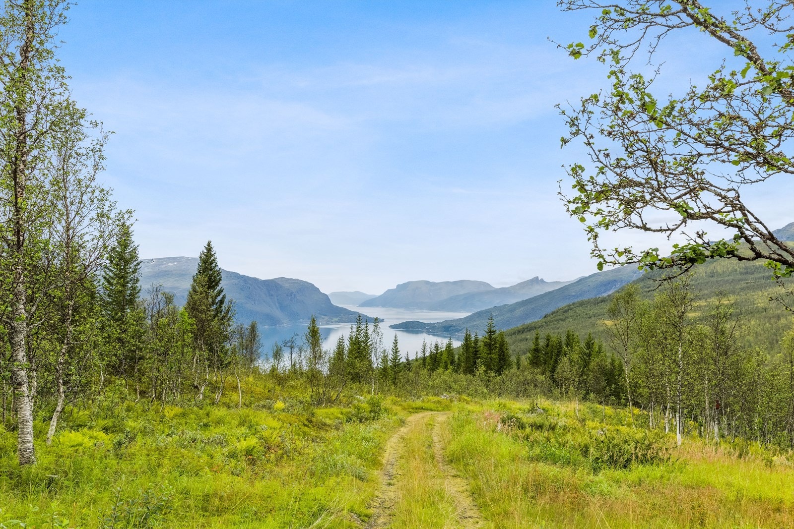 Bilvei helt frem til hytta. Adkomstretten er også tinglyst. Galleribilde