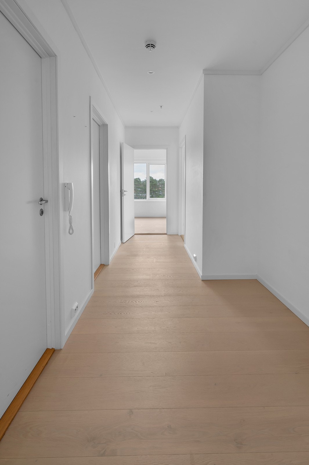 Hall/gang Galleribilde