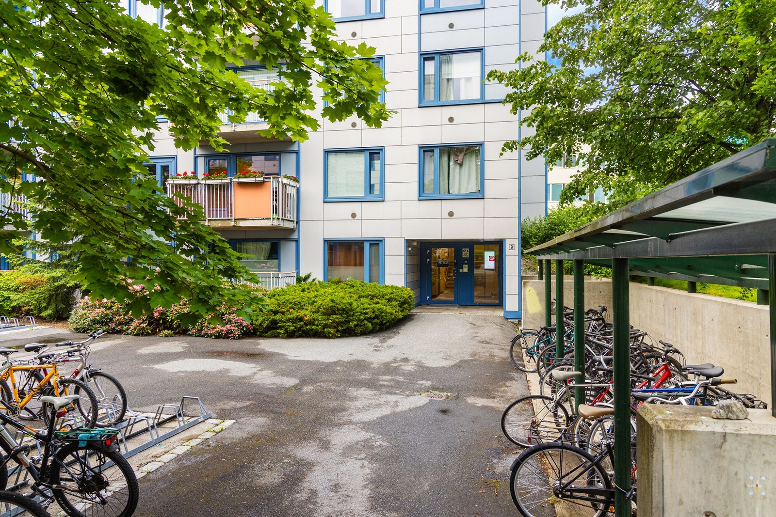 Felles sykkelparkering utenfor inngangen. Galleribilde