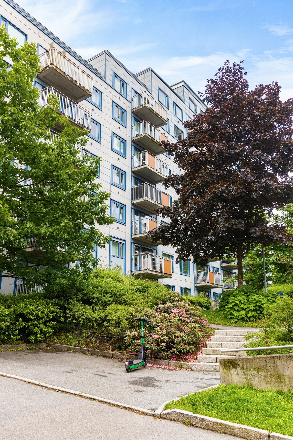 Ankomst til hovedinngang fra Sinsenveien Galleribilde