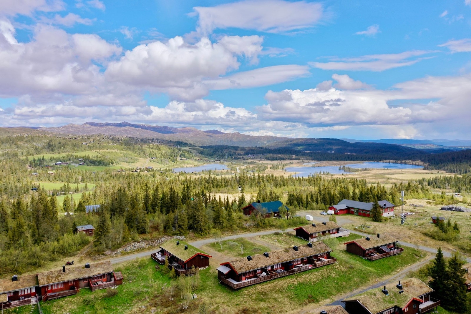 Sommerbilde Galleribilde