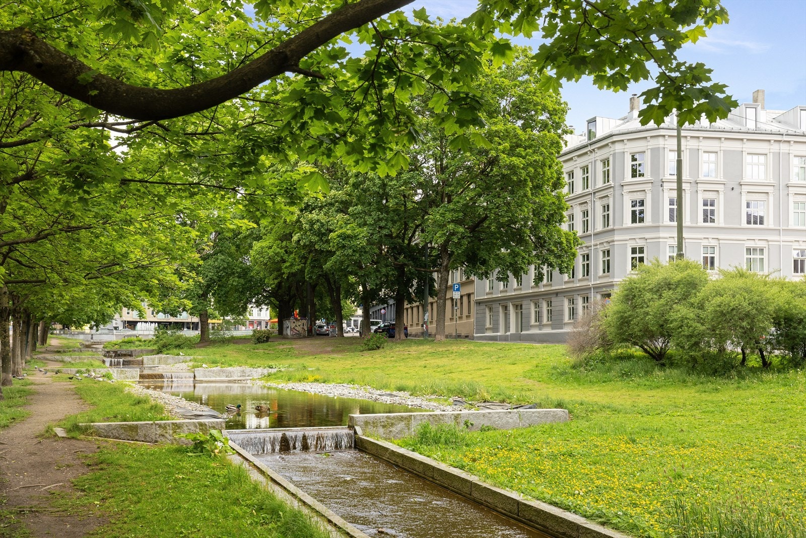 Parkområder mellom Uelandsgate og Maridalsveien opp mot Alexander Kiellands Plass. Galleribilde