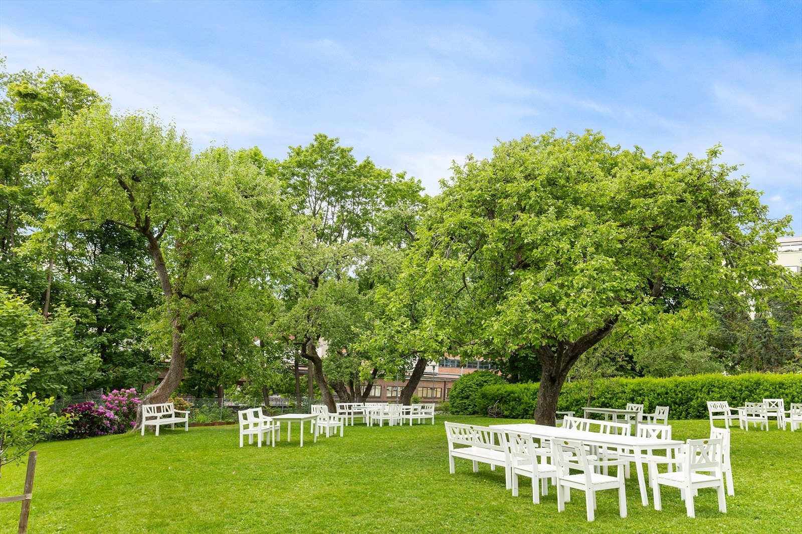 Tilgang til felles bakhage "Edens hage" Galleribilde