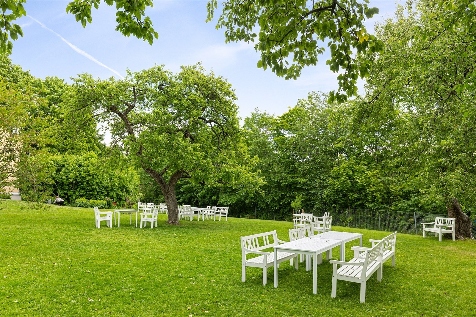 "Edens hage" som er en del av fellesareal som disponeres av de tilliggende sameier og som man har tilgang til som seksjonseier i sameiet Schultzehaugen 5. Galleribilde