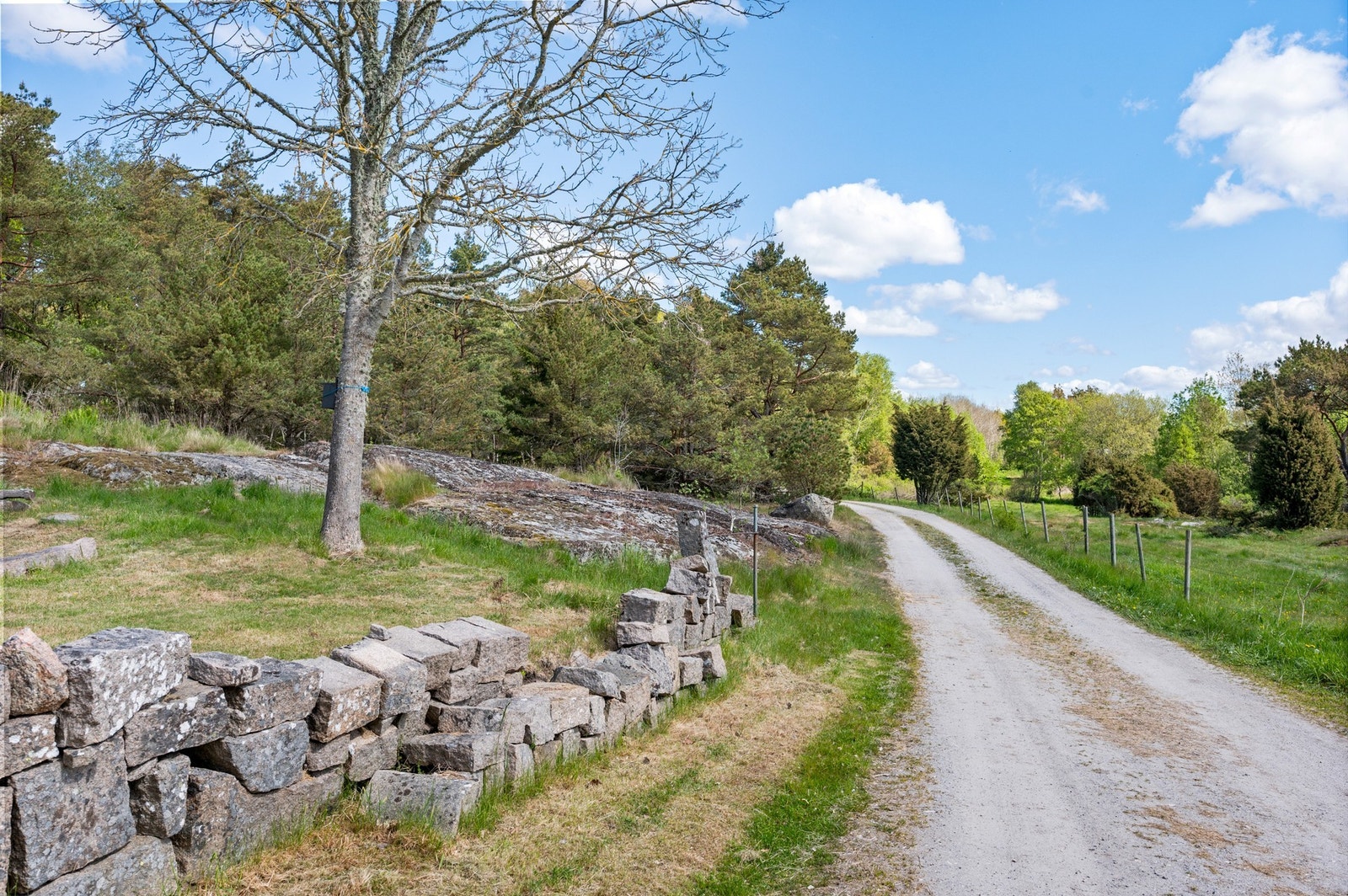 Huset ligger som tredje sista huset på vägen (ej genomfartsväg, dvs. minimalt med trafik) Galleribilde