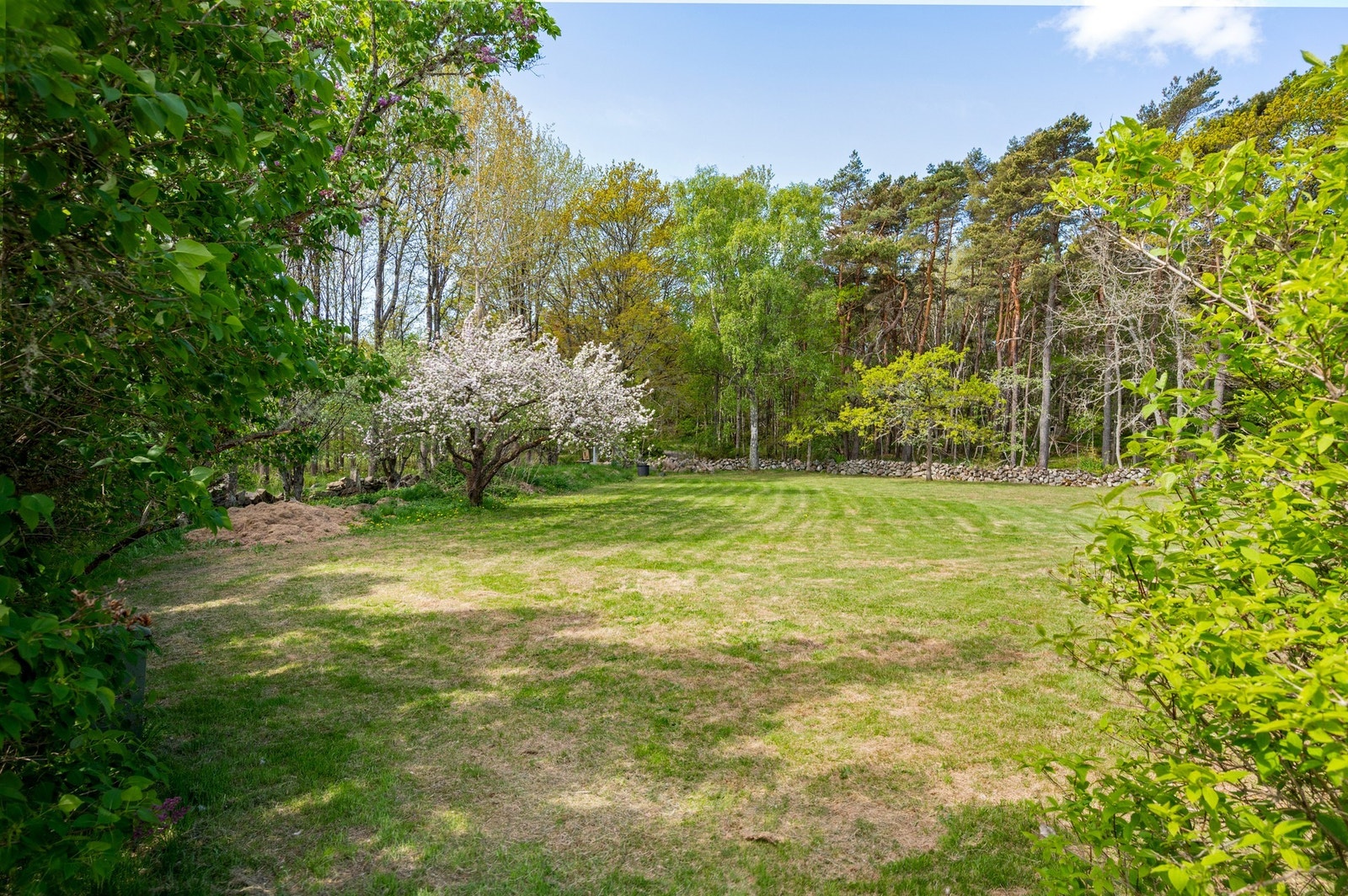 Del av tomten Galleribilde