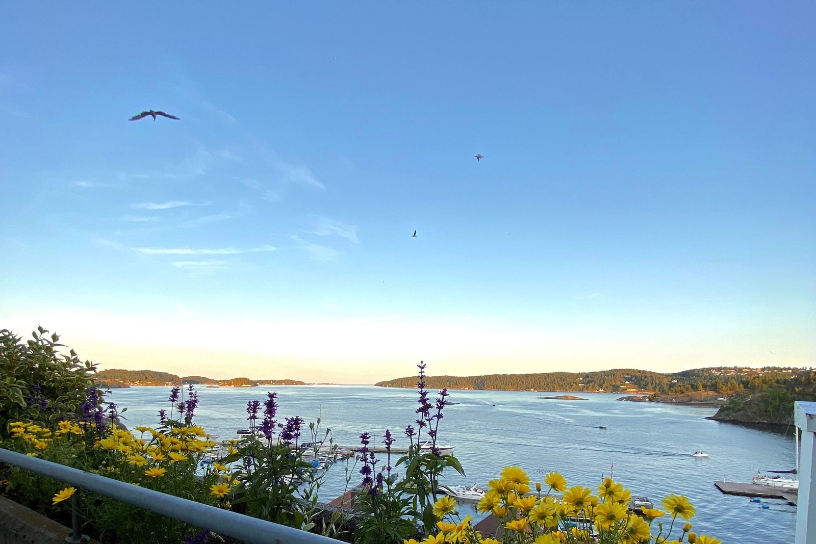 Solnedgang over Kragerø Galleribilde