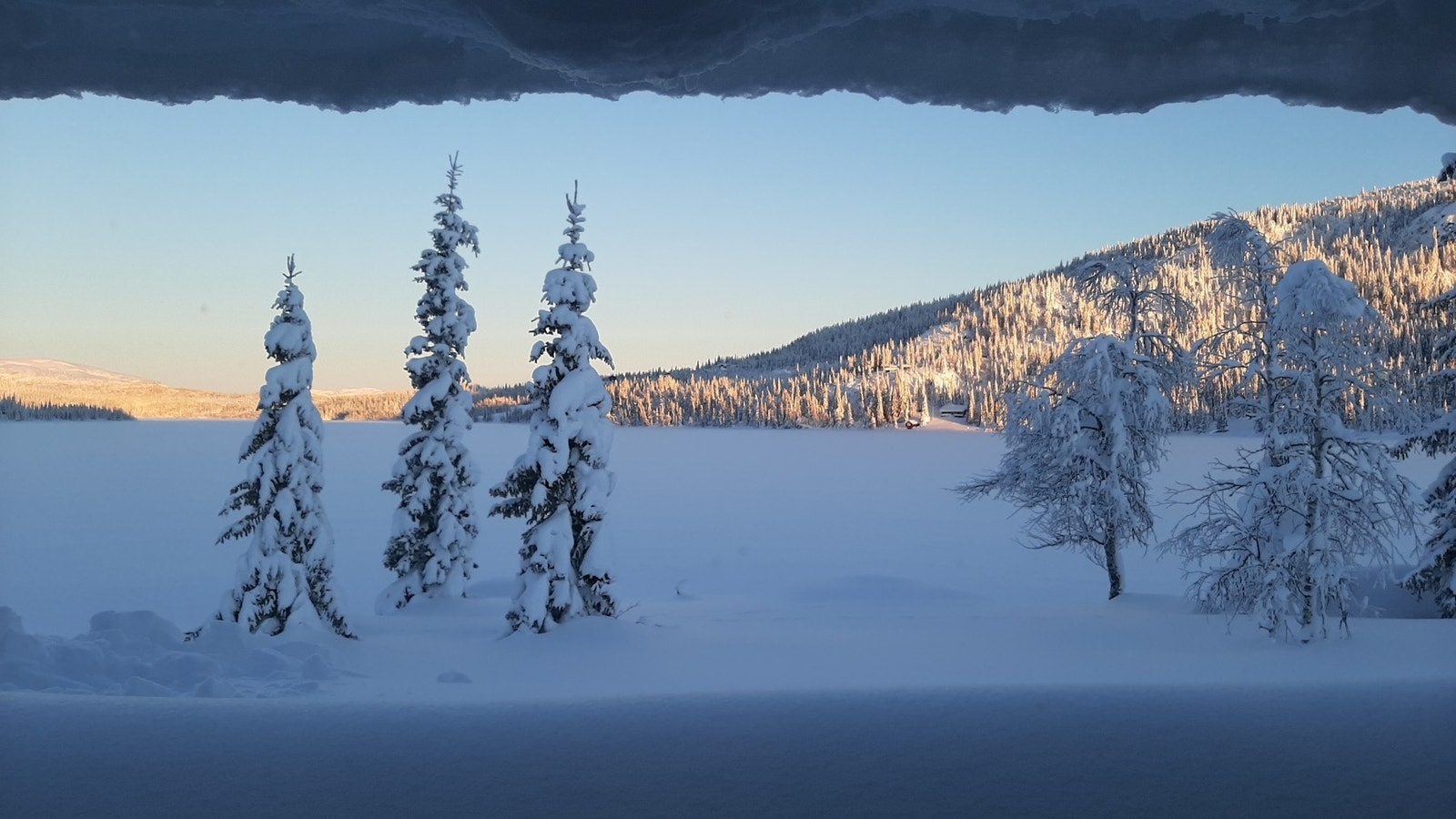 Utsikt over Synnfjorden fra hytta Galleribilde