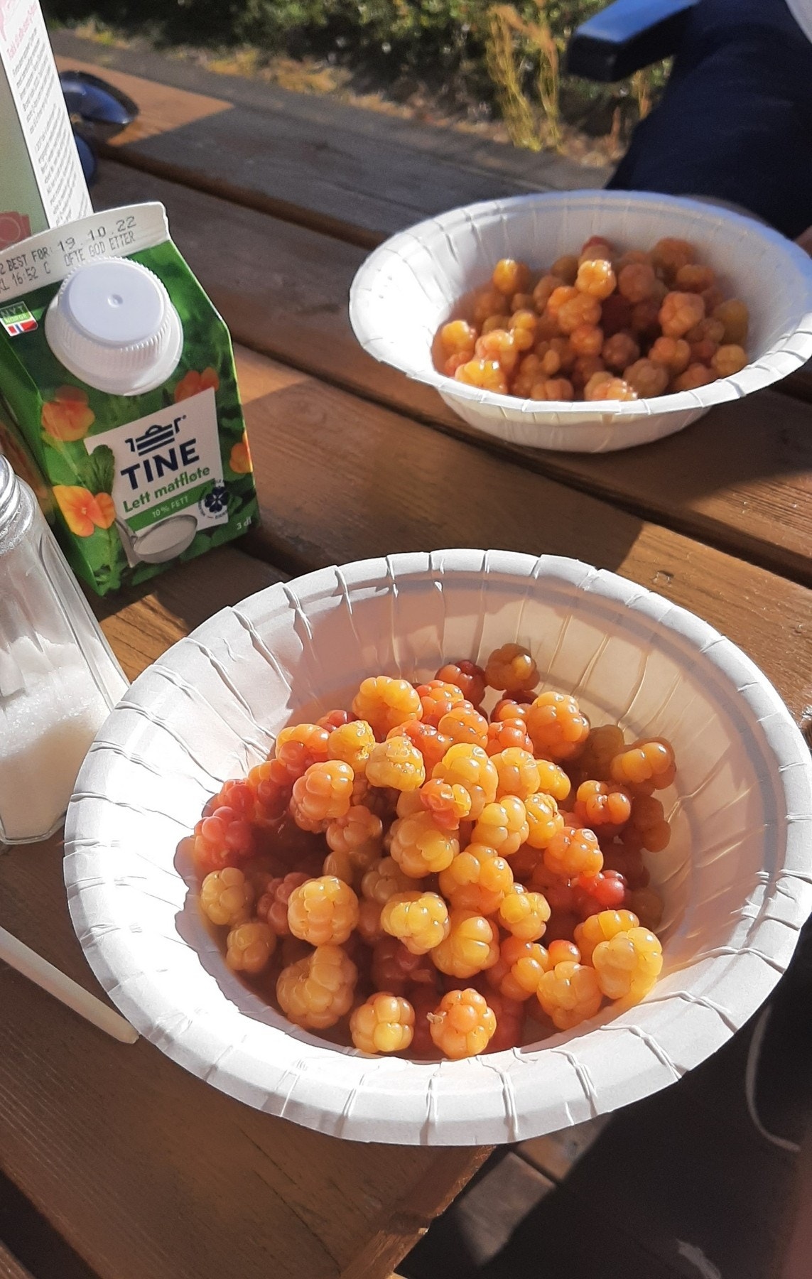 Molte kan plukkes rett i nærheten av hytta Galleribilde