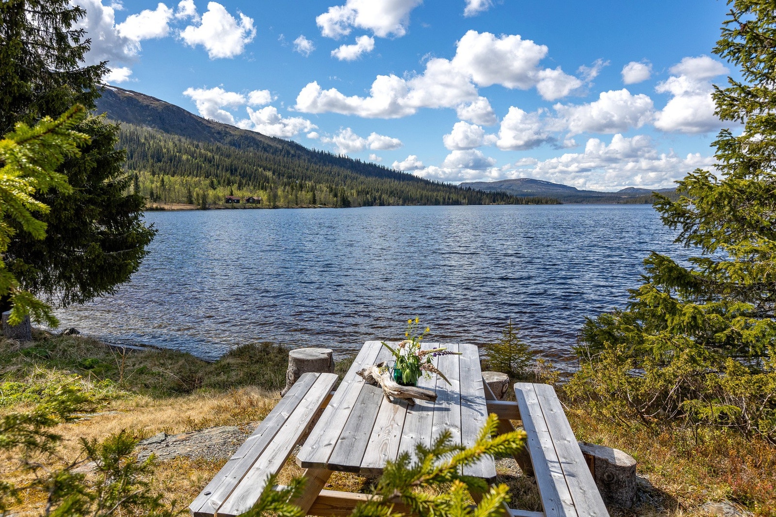 Eiendommen ligger helt nede ved vannet, - perfekt for bading, kanopadling, fiske eller morgenkaffen i sjøkanten. Galleribilde