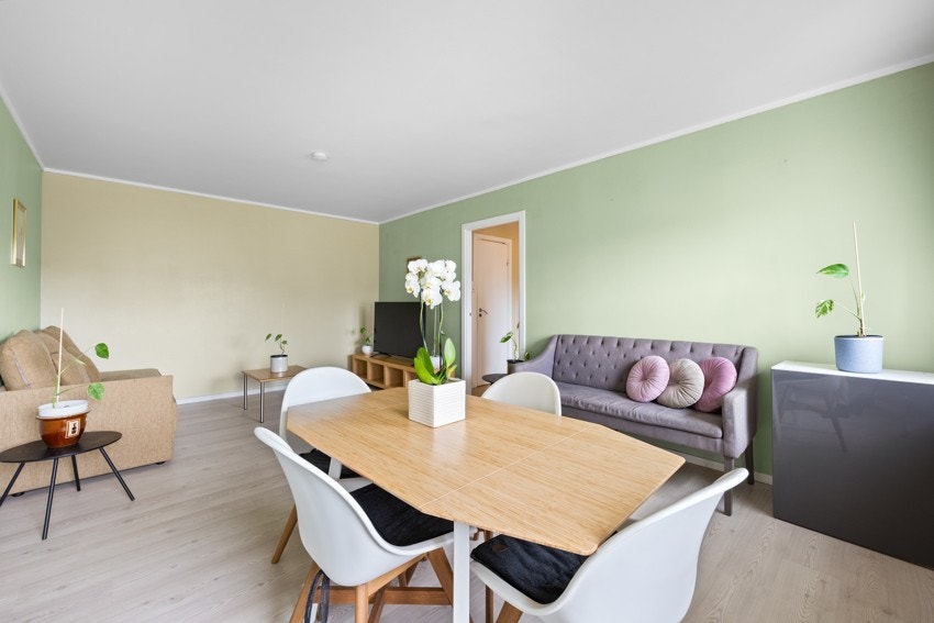 Stuen har flott gulv av laminat og malte vegger Galleribilde