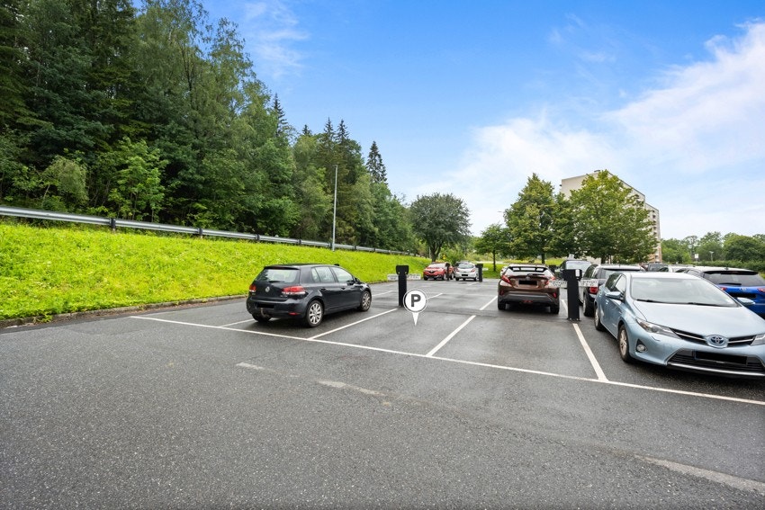 Biloppstillingsplass Galleribilde