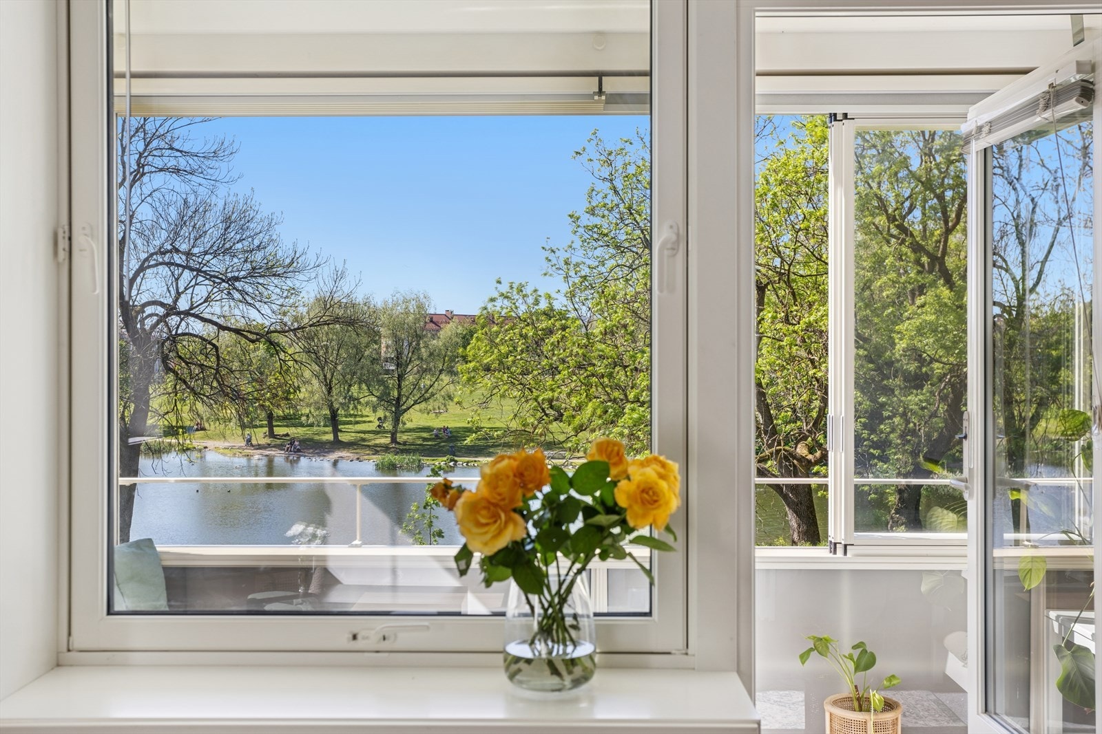 Fra stuen er det nydelig utsikt til Hovindammen. Galleribilde