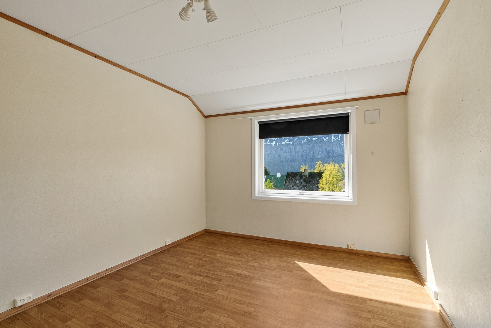 Soverom nr. 1 Galleribilde