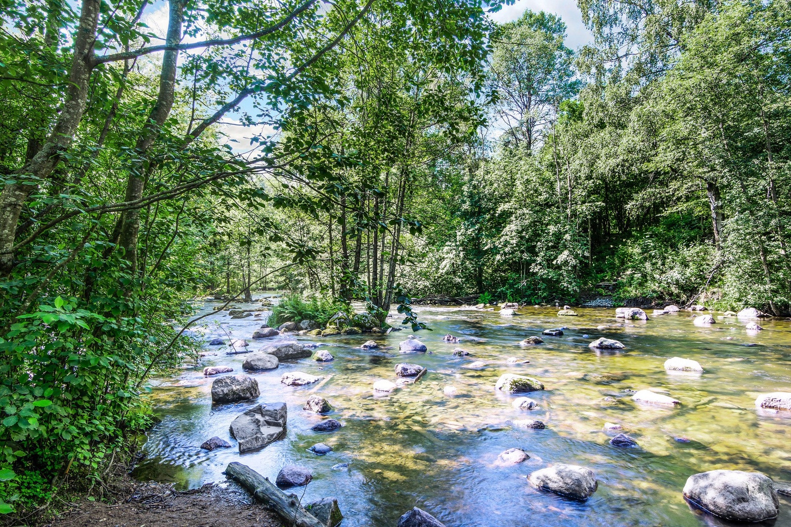 Andre populære badeplasser er idylliske Trollvann med blant annet brygger, bålplasser og benker. Galleribilde