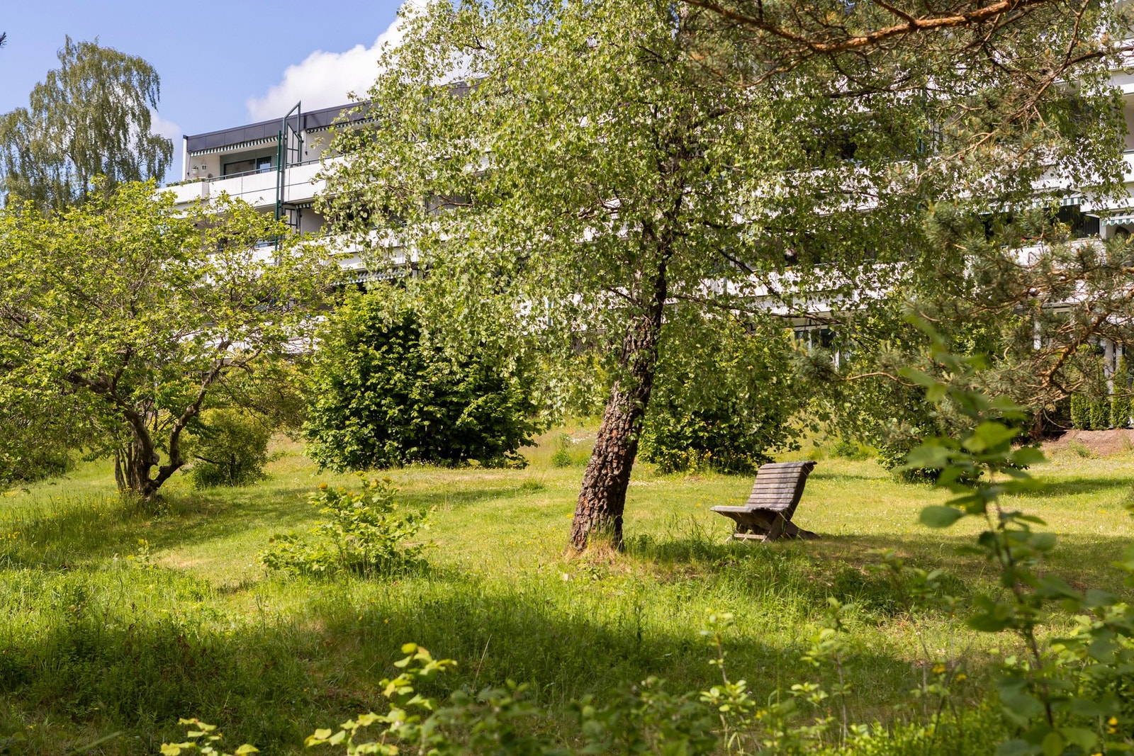 Borettslaget har en meget pent opparbeidet tomt, med store gressplener like utenfor. Galleribilde