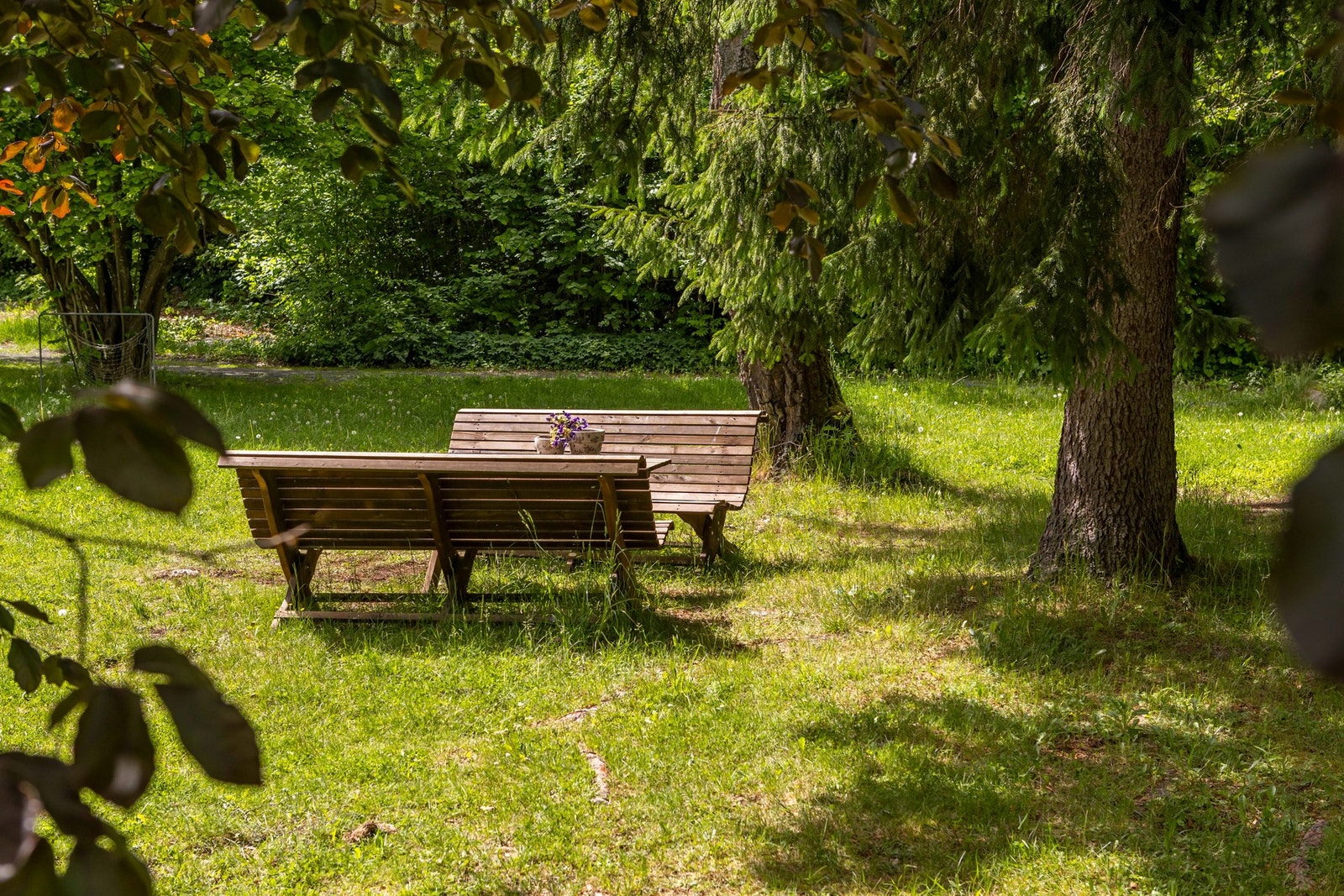 Borettslaget har en meget pent opparbeidet tomt, med store gressplener like utenfor. Galleribilde