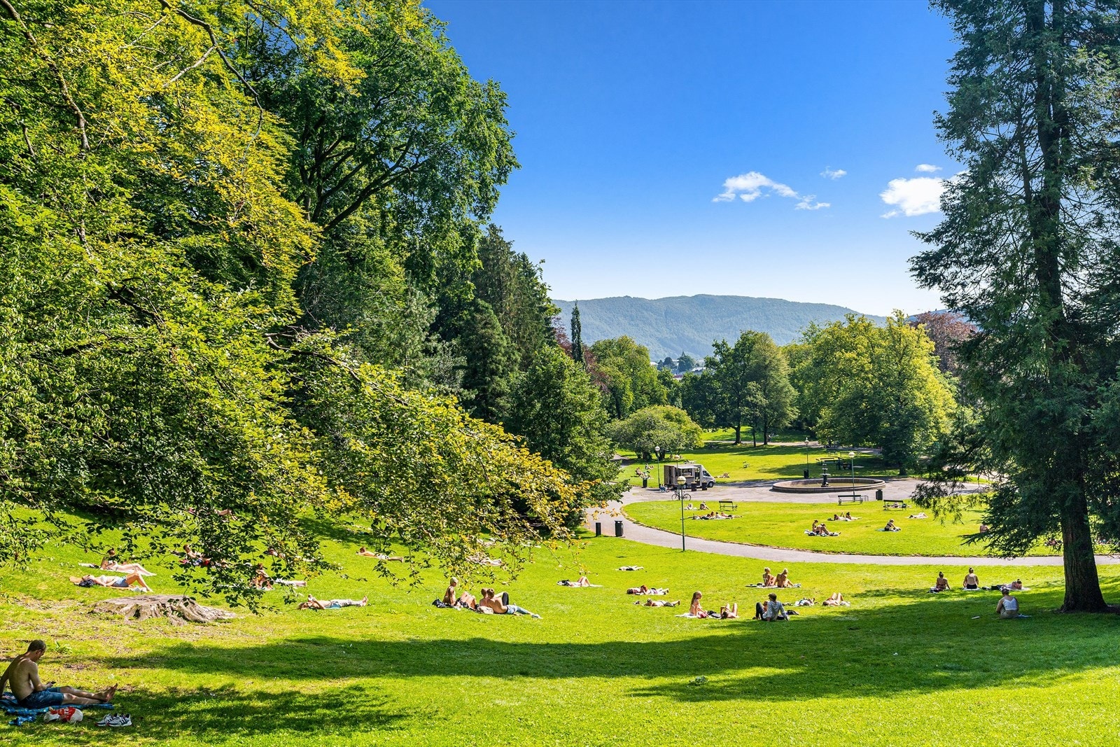 Idylliske og revitaliserte Nygårdsparken 200 meter unna Galleribilde