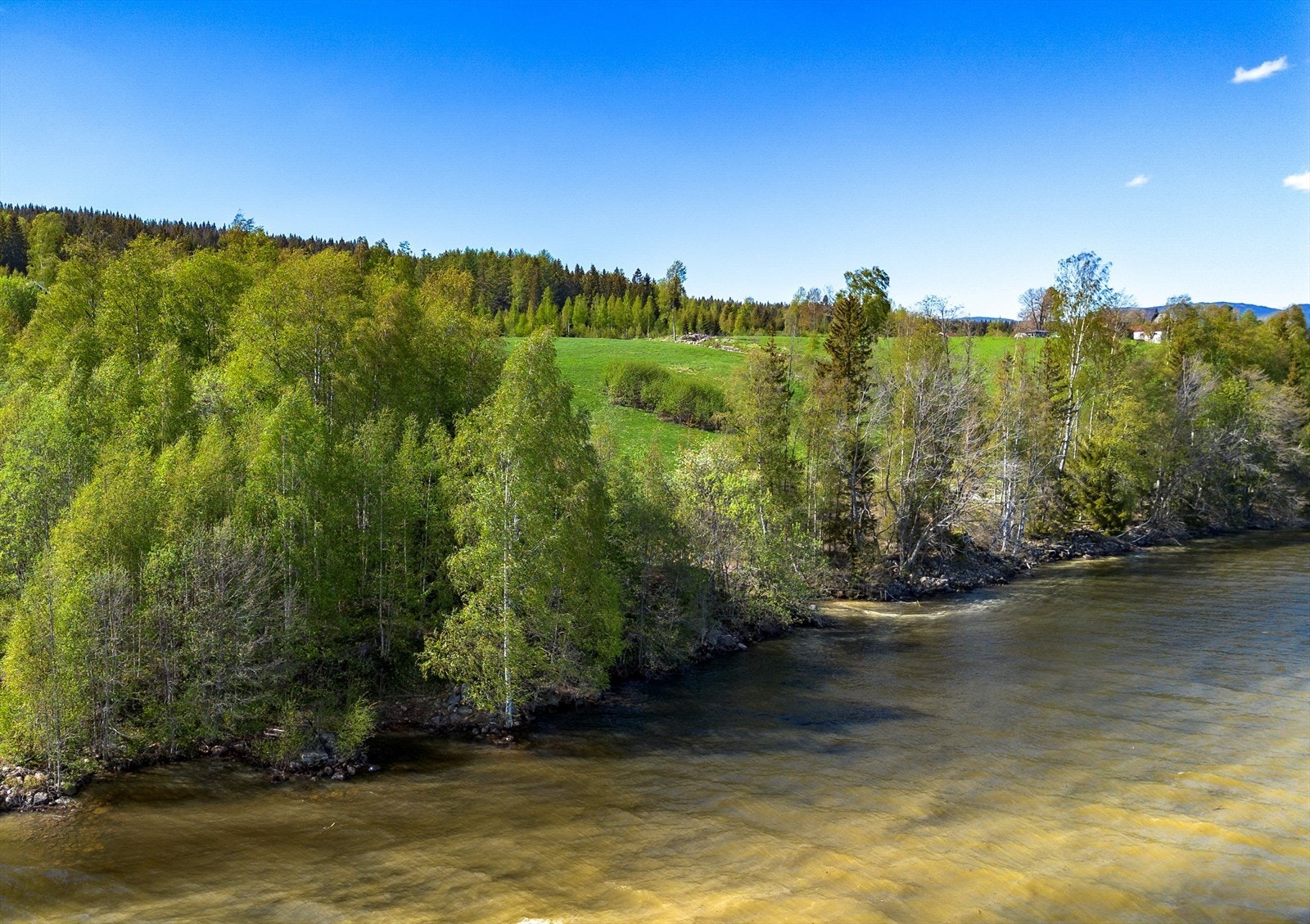 Området er på sommerstid svært grønt og frodig. Galleribilde