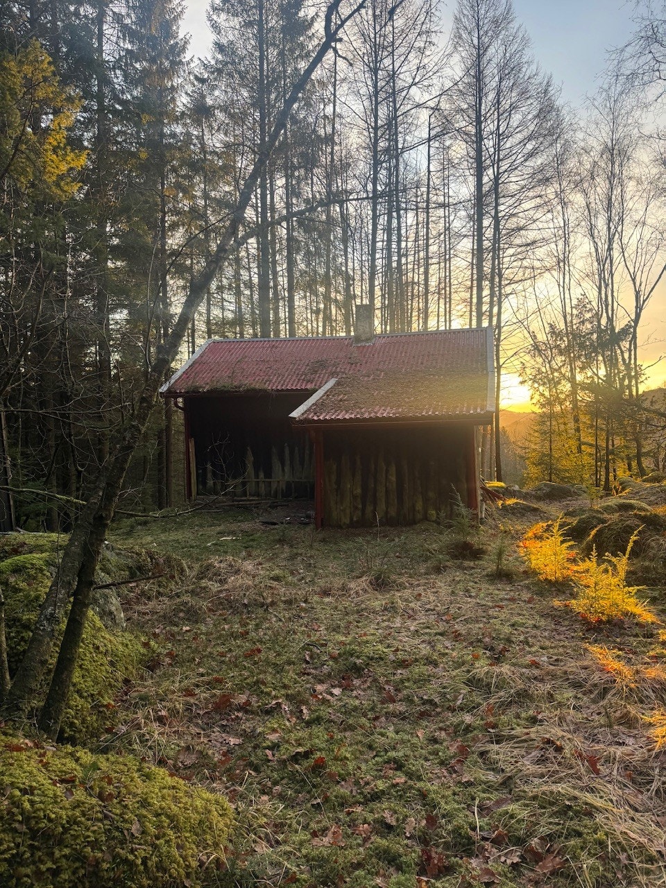 Det er ikke vei, vann eller avløp til eiendommen. Galleribilde