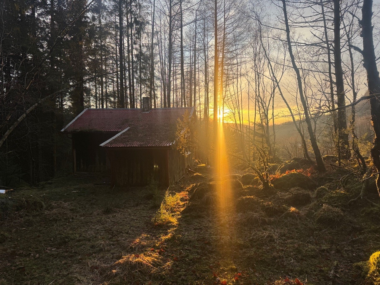 Før skogen ble plantet var det fin utsikt ned mot bygda, og når skogen en dag skal hogges vil man kunne få utsikt fra eiendommen. Det må nevnes at det er ca 20-40 år før skogen kan hogges. Galleribilde