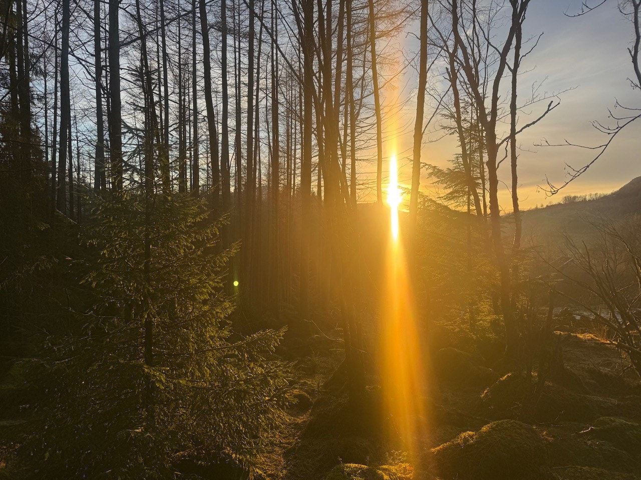 Utsikt fra eiendommen Galleribilde