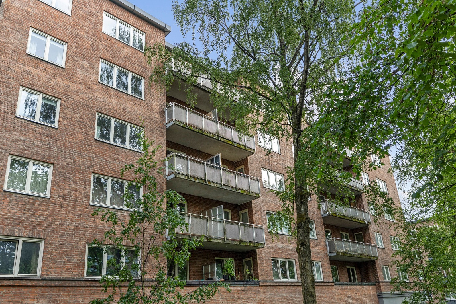 Fasade. Galleribilde